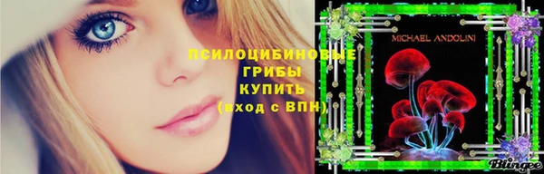 Альфа ПВП Гвардейск