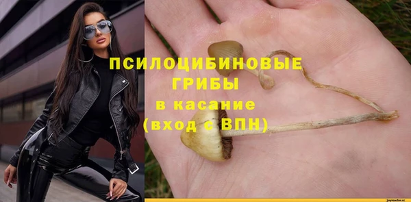 дурь Кинешма