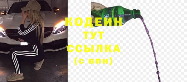 гидра Гатчина