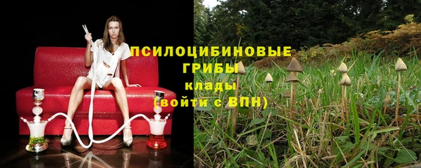 гидропоника Козельск