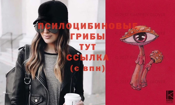 гидропоника Козельск