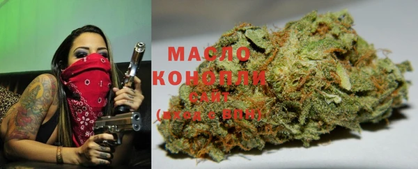 Альфа ПВП Гвардейск