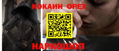 бошки Кингисепп