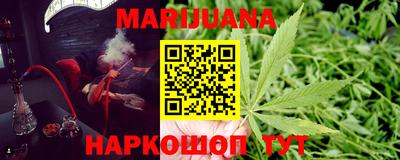 бошки Кингисепп