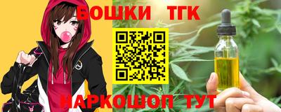 бошки Кингисепп