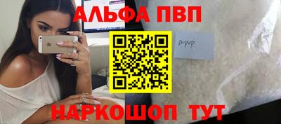бошки Кингисепп