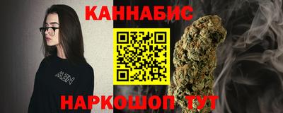бошки Кингисепп