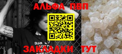 бошки Кингисепп