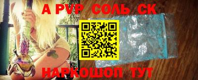 бошки Кингисепп