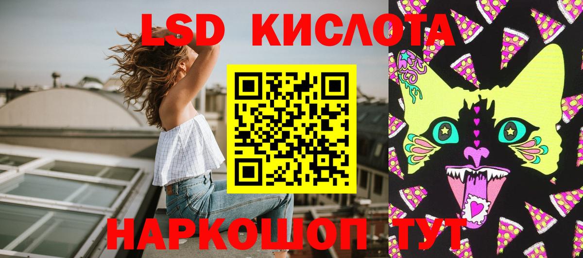 Марки NBOMe 1500мкг  купить наркотики сайты  Курчалой  Вход с VPN 