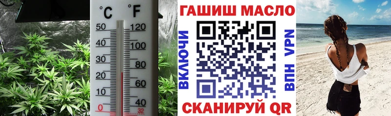 ТГК вейп  Курчалой 