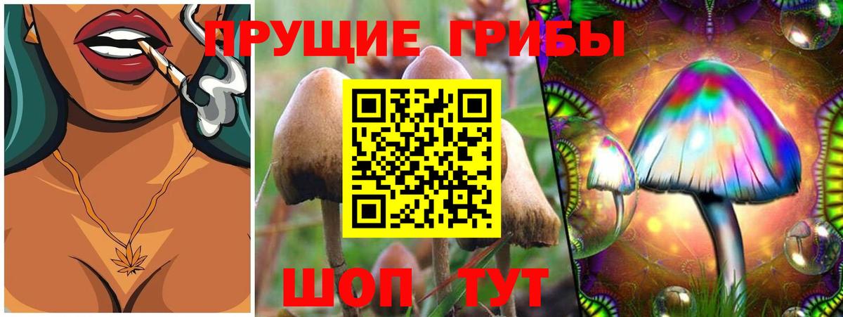 Галлюциногенные грибы мухоморы Курчалой