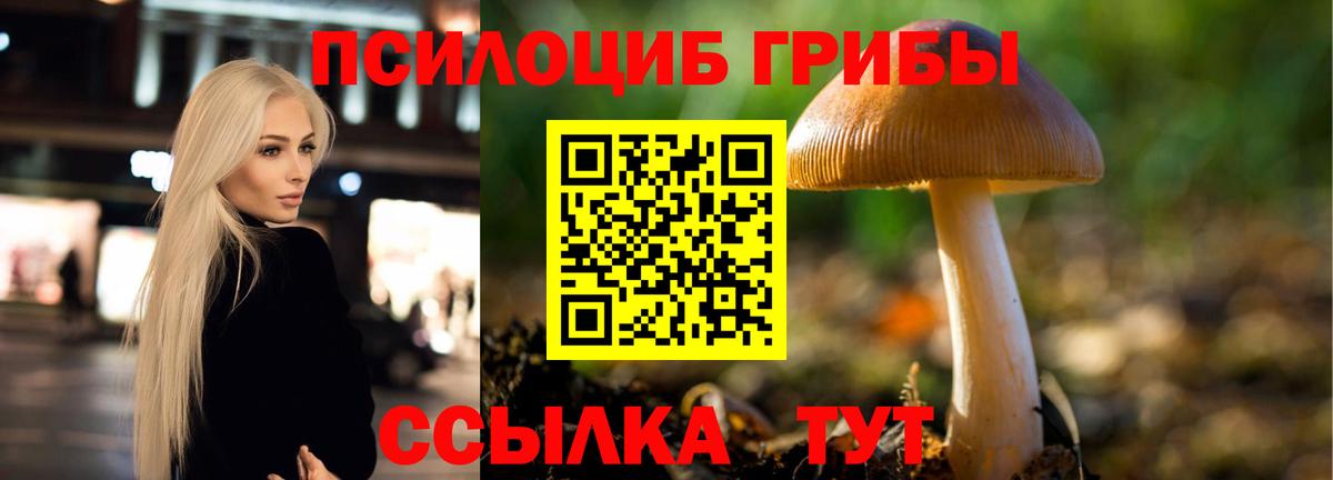 Галлюциногенные грибы ЛСД  цены   Курчалой  Вход с VPN 